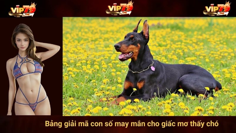 Bảng giải mã con số may mắn cho giấc mơ thấy chó 