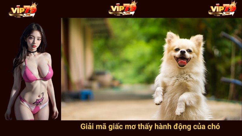 Giải mã giấc mơ thấy hành động của chó 